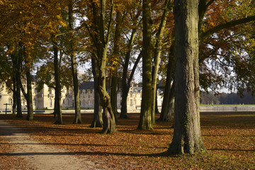 Fototapeta premium Sous les arbres du château de Chantilly (60500), département de l'Oise en région Hauts-de-France, France 
