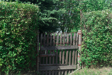 wooden gate in the allotment