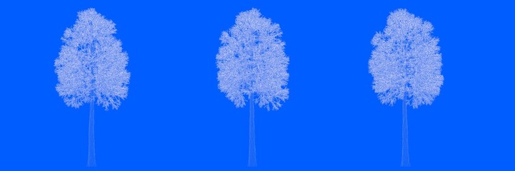 3d rendering of three trees as lines on a blue background