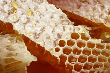 Fresh full honeycomb with drops of honey on top. Macro. Close-up. Soft focus