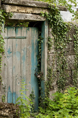 An old door, ivy, stones and rust padlock