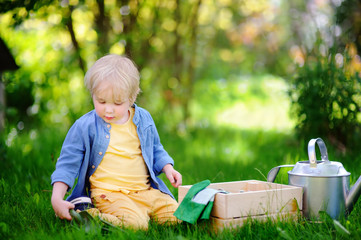 Cute little boy holding seedling in plastic pots on the domestic garden at summer day