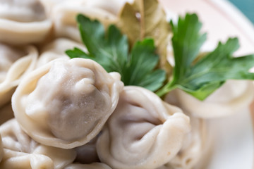 Obraz na płótnie Canvas Homemade Meat Dumplings russian pelmeni with parsley close up