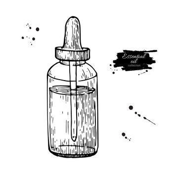 Essential oil glass bottle hand drawn vector illustration. Isolated drawing for Aromatherapy treatment, alternative medicine, beauty and spa
