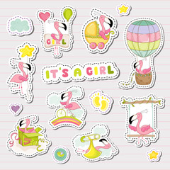 Baby Girl Stickers for Baby Shower Party Celebration. Decorative Elements for Newborn with Cute Flamingo. Vector illustration
