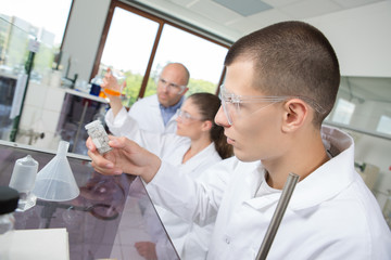 students and doctoral supervisor scientist observing