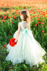 Obraz na płótnie Canvas girl model, wedding, fashion concept - festive pale blue elegant dress with cutout and bowknot on back of little girl bridesmaids with a bouquet of poppies in her hand on background of poppy field