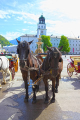 Naklejka na ściany i meble Central place in Salzburg city with carriages and horses