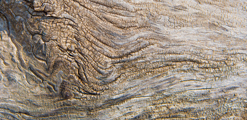 Natural Wood Texture