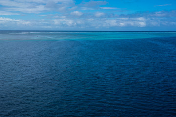 Obraz premium Bio Reef