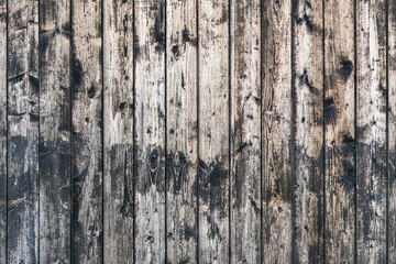 Fototapeta premium Vintage wooden background from planks with knots.