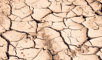 Parched earth in summer heat. In place of fertile soil with plants is cracked dead surface of dry mud.