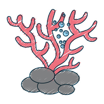 Marine coral isolated icon vector illustration design