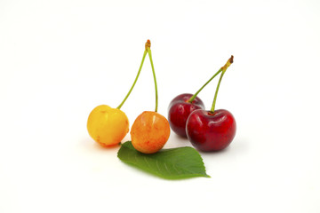 The big cherries are on a white background