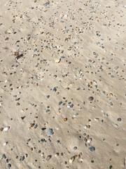 Sand Strand Kieselsteine Muscheln 