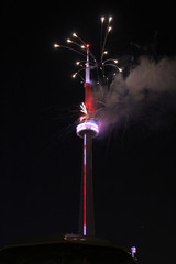 Colorful fireworks  on the background of dark sky