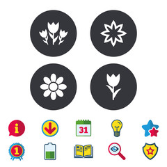 Flowers icons. Bouquet of roses symbol. Flower with petals and leaves. Calendar, Information and Download signs. Stars, Award and Book icons. Light bulb, Shield and Search. Vector