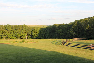Pennsylvania Pasture