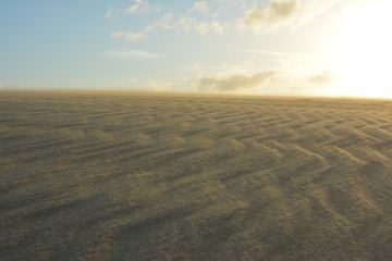 Jockey's Ridge Sand Dune Wind Patterns