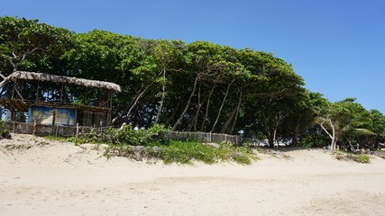 tropical hideaway beach