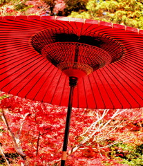 janomeｰumbrella in kyoto city,japan.