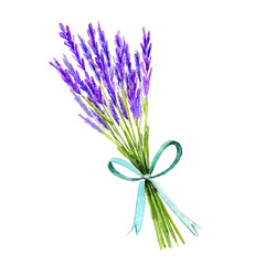 Watercolor hand painting branch of lavender bandage with ribbon illustration isolated white background. Vintage hand drawn sketch design. Provence style.