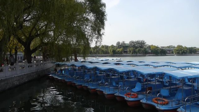 a row of blue boats on lake,swing willow in China Beijing Beihai Park.