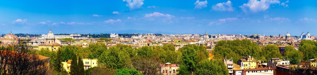 Fototapeta na wymiar Skyline of Rome, Italy. Panoramic view of Rome architecture and landmark, Rome cityscape. Rome postcard