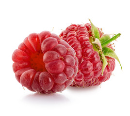 raspberries isolated on a white background