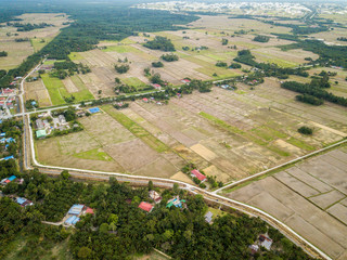 Aerial View - Paddy field.