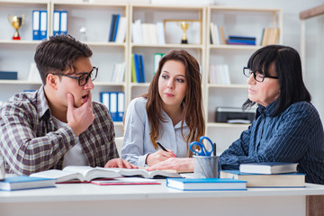 Young student and teacher during tutoring lesson