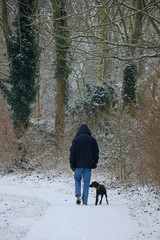 Man walking dog in snow