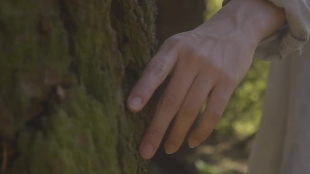 Slow Motion Closeup Of Young Woman's Hand On Tree, She Circles The Tree, Backlit By Sun (Steadicam Follow Shot)