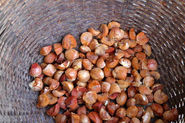 betel nut or areca nut in basket for sale at market, Thailand.