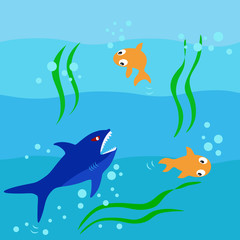 The shark hunting the fish in ocean