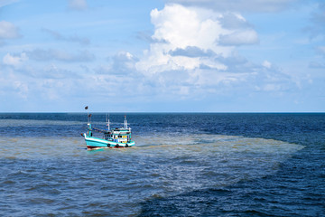 Natural phenomena during the rainy season in Thailand. Fresh water has flowed into the sea. Cause two colors sea.