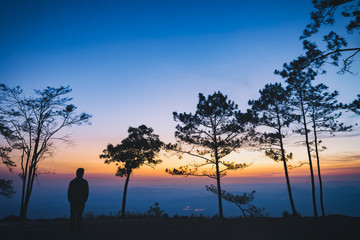 Silhouette man standing with pine trees and mountain landscape waiting for sunrise in Phu Kradueng National Park, Thailand.