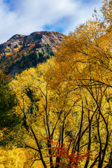 Arrowtown, Otago, New Zealand