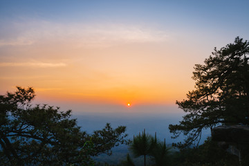 Fototapeta na wymiar The silhouette of pine tree with sunset scene in Phu Kradung National park, Thailand.