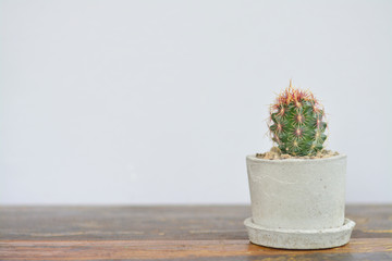 Cactus in cement pot on wooden table.