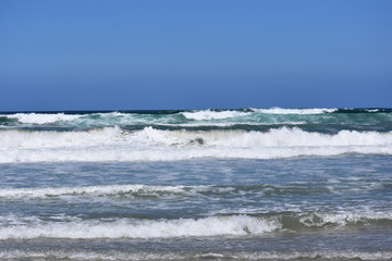Torrey Pines Beach Waves