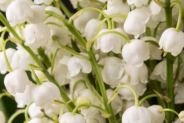 Fototapeta premium A beautiful bouquet of flowers lilies of the valley.