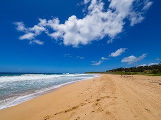 Fototapeta na wymiar Golden Sand Kealia Beach on a Sunny Day, Kapaa, Kauai, Hawaii, USA