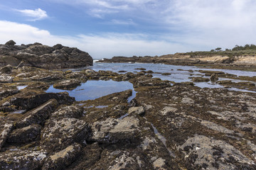 Fototapeta na wymiar Monterey Peninsula Coastline - California