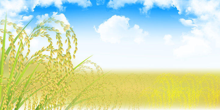 背景 稲穂 Images Browse 2 908 Stock Photos Vectors And Video Adobe Stock 背景 稲穂 Images Browse 2 908 Stock Photos Vectors And Video Adobe Stock