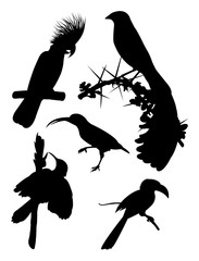 Black birds silhouette. Good use for symbol, logo, web icon, mascot, sign, or any design you want.