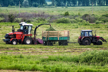 Combine harvester and tractor remove grass from the field