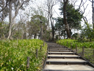 林道の階段