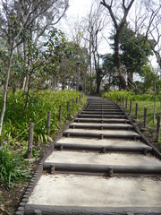 林道の階段