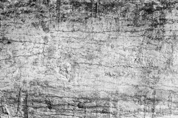 Obraz premium Tree bark texture background, monochrome grunge style